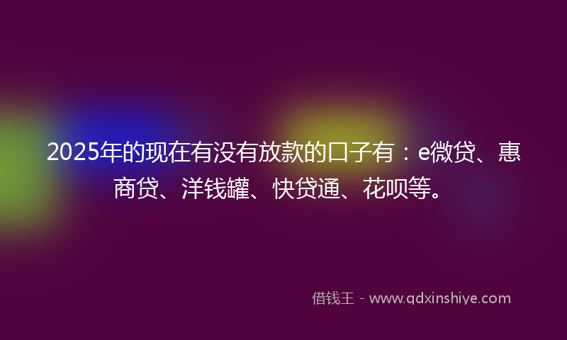 2025年的现在有没有放款的口子有：e微贷、惠商贷、洋钱罐、快贷通、花呗等。