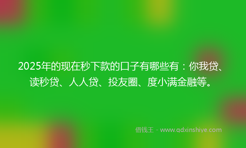 2025年的现在秒下款的口子有哪些有：你我贷、读秒贷、人人贷、投友圈、度小满金融等。