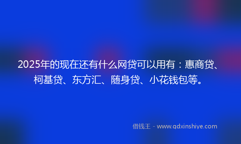 2025年的现在还有什么网贷可以用有：惠商贷、柯基贷、东方汇、随身贷、小花钱包等。