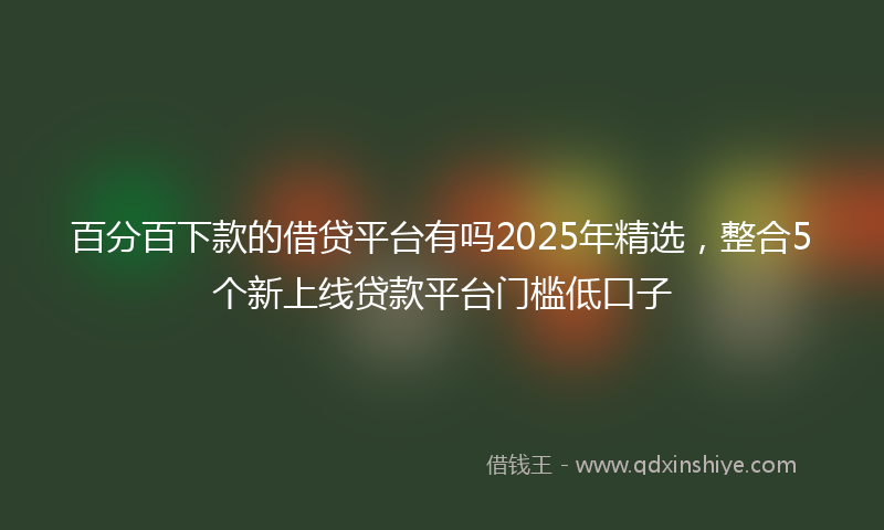 百分百下款的借贷平台有吗2025年精选,整合5个新上线贷款平台门槛低口子