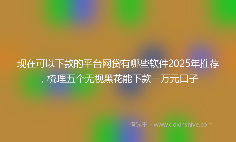 现在可以下款的平台网贷有哪些软件2025年推荐，梳理五个无视黑花能下款一万元口子