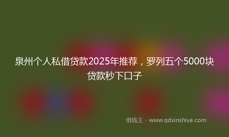 泉州个人私借贷款2025年推荐，罗列五个5000块贷款秒下口子