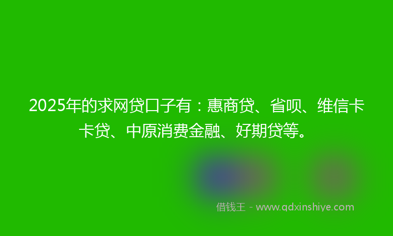 2025年的求网贷口子有：惠商贷、省呗、维信卡卡贷、中原消费金融、好期贷等。