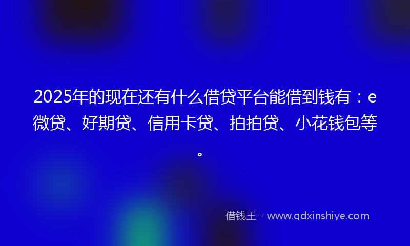 2025年的现在还有什么借贷平台能借到钱有：e微贷、好期贷、信用卡贷、拍拍贷、小花钱包等。