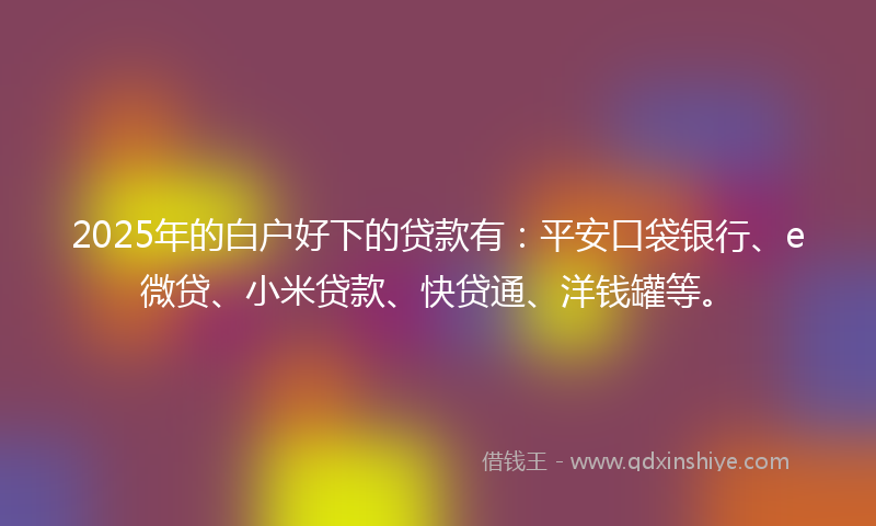 2025年的白户好下的贷款有：平安口袋银行、e微贷、小米贷款、快贷通、洋钱罐等。