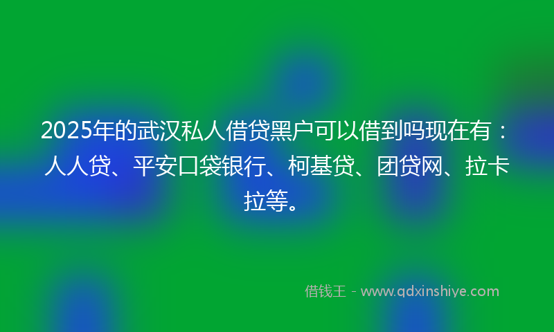 2025年的武汉私人借贷黑户可以借到吗现在有：人人贷、平安口袋银行、柯基贷、团贷网、拉卡拉等。