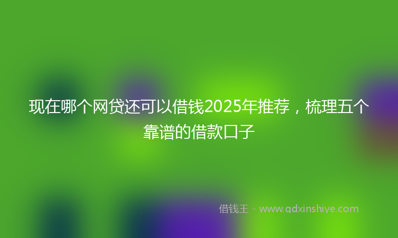 现在哪个网贷还可以借钱2025年推荐，梳理五个靠谱的借款口子
