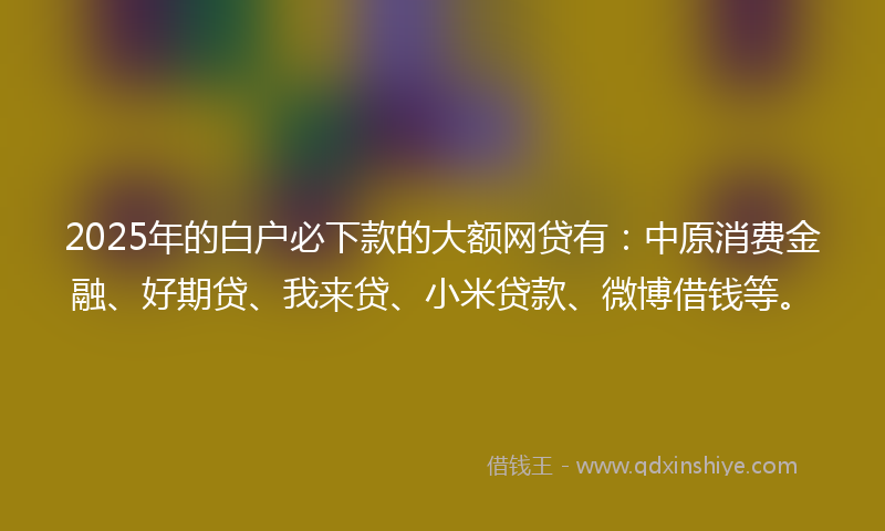 2025年的白户必下款的大额网贷有：中原消费金融、好期贷、我来贷、小米贷款、微博借钱等。