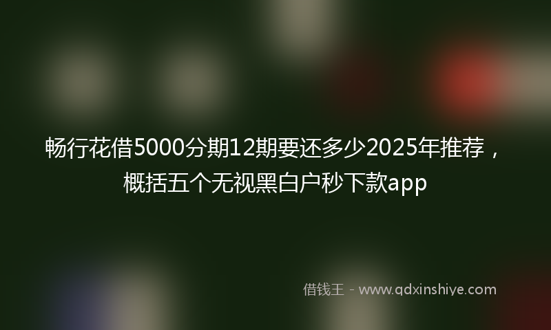 畅行花借5000分期12期要还多少2025年推荐，概括五个无视黑白户秒下款app