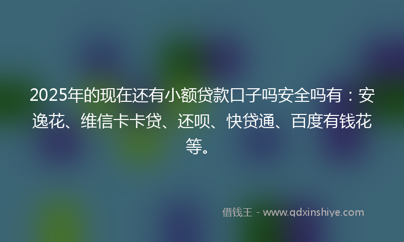 2025年的现在还有小额贷款口子吗安全吗有：安逸花、维信卡卡贷、还呗、快贷通、百度有钱花等。