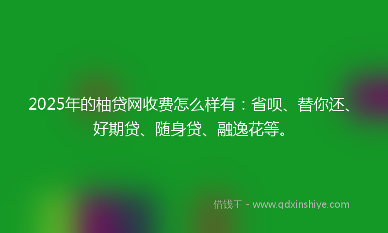 2025年的柚贷网收费怎么样有：省呗、替你还、好期贷、随身贷、融逸花等。