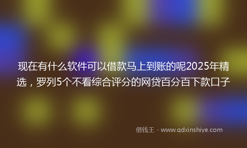 现在有什么软件可以借款马上到账的呢2025年精选，罗列5个不看综合评分的网贷百分百下款口子