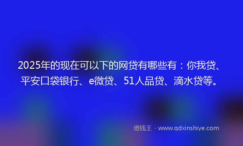2025年的现在可以下的网贷有哪些有：你我贷、平安口袋银行、e微贷、51人品贷、滴水贷等。