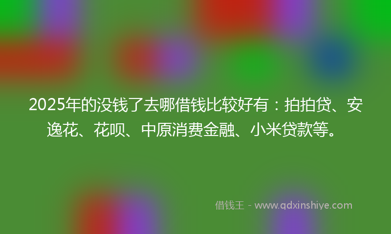 2025年的没钱了去哪借钱比较好有：拍拍贷、安逸花、花呗、中原消费金融、小米贷款等。