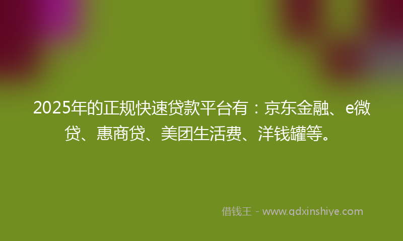 2025年的正规快速贷款平台有：京东金融、e微贷、惠商贷、美团生活费、洋钱罐等。