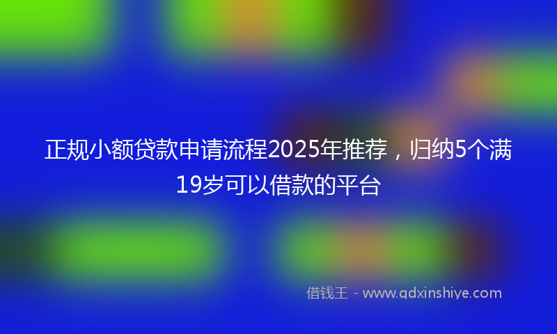 正规小额贷款申请流程2025年推荐，归纳5个满19岁可以借款的平台