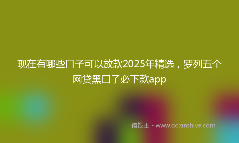 现在有哪些口子可以放款2025年精选，罗列五个网贷黑口子必下款app