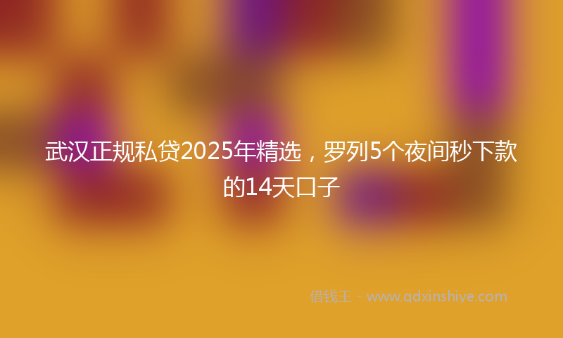 武汉正规私贷2025年精选，罗列5个夜间秒下款的14天口子