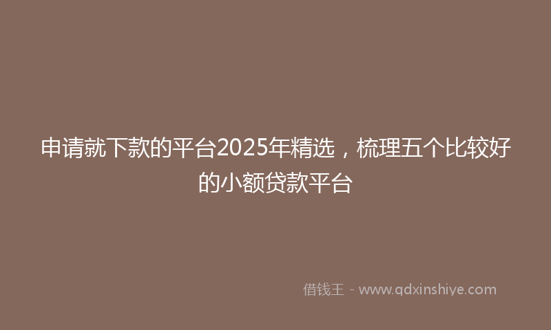 申请就下款的平台2025年精选，梳理五个比较好的小额贷款平台