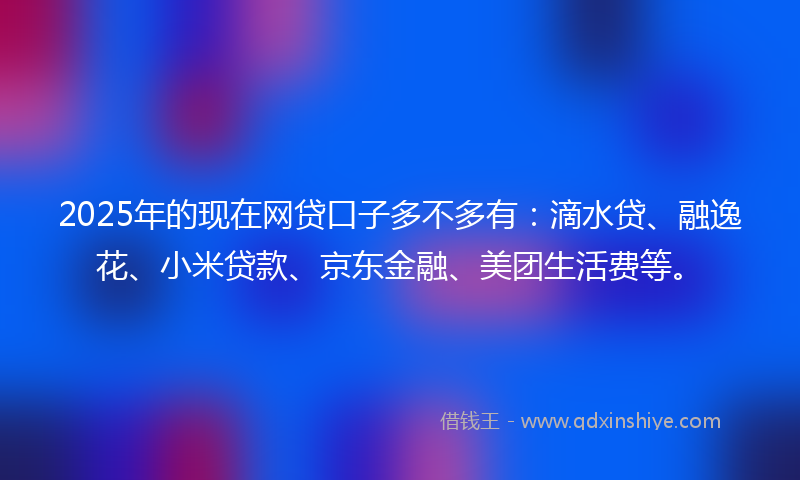 2025年的现在网贷口子多不多有：滴水贷、融逸花、小米贷款、京东金融、美团生活费等。