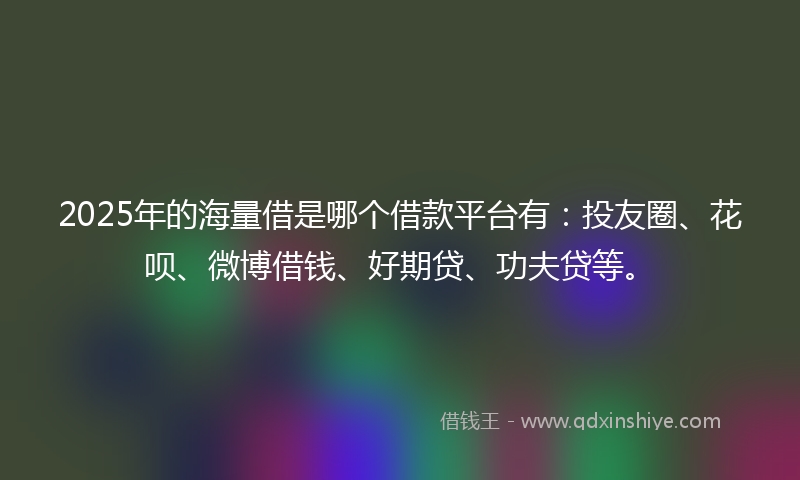 2025年的海量借是哪个借款平台有：投友圈、花呗、微博借钱、好期贷、功夫贷等。