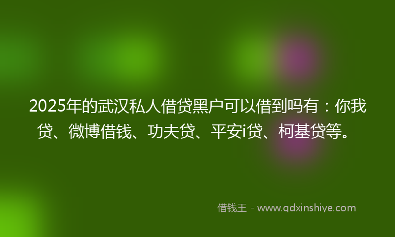 2025年的武汉私人借贷黑户可以借到吗有：你我贷、微博借钱、功夫贷、平安i贷、柯基贷等。