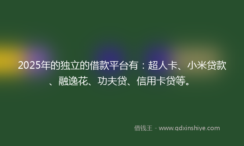 2025年的独立的借款平台有：超人卡、小米贷款、融逸花、功夫贷、信用卡贷等。