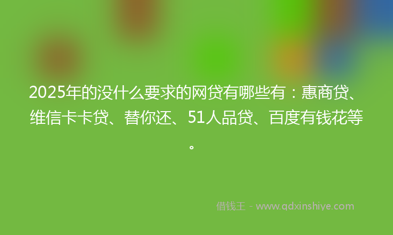 2025年的没什么要求的网贷有哪些有：惠商贷、维信卡卡贷、替你还、51人品贷、百度有钱花等。