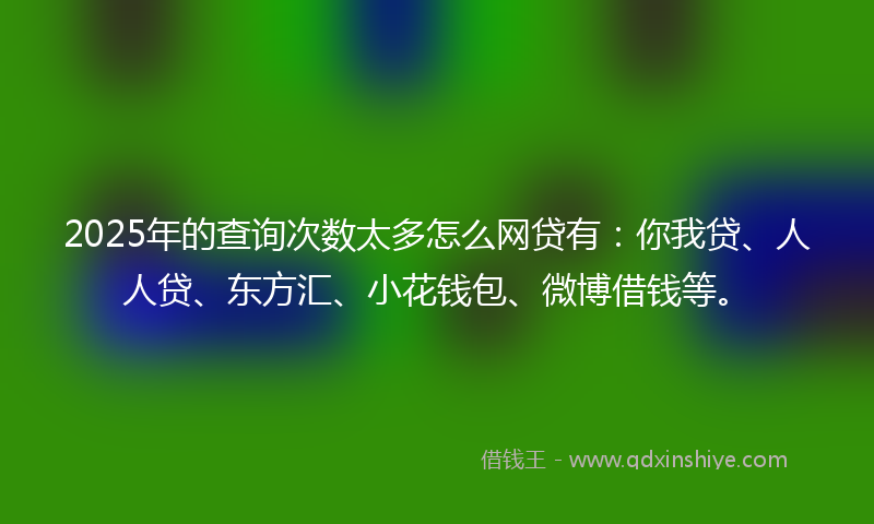 2025年的查询次数太多怎么网贷有：你我贷、人人贷、东方汇、小花钱包、微博借钱等。