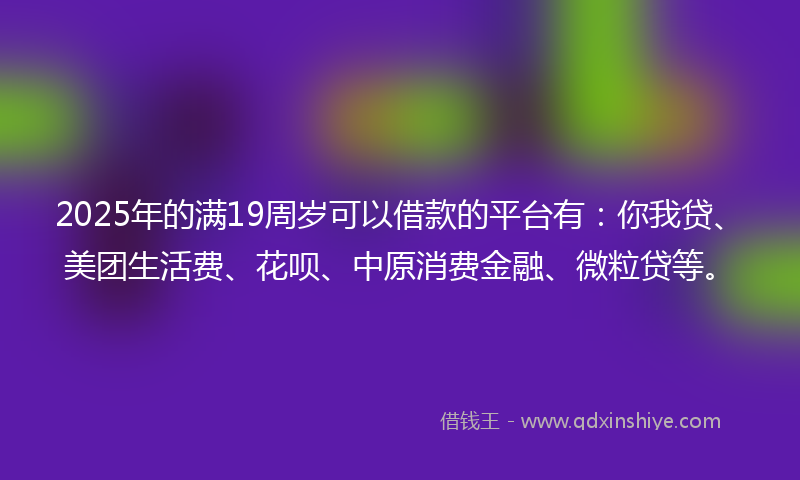 2025年的满19周岁可以借款的平台有：你我贷、美团生活费、花呗、中原消费金融、微粒贷等。