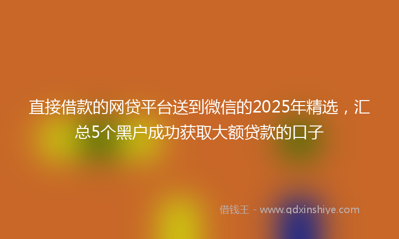 直接借款的网贷平台送到微信的2025年精选，汇总5个黑户成功获取大额贷款的口子