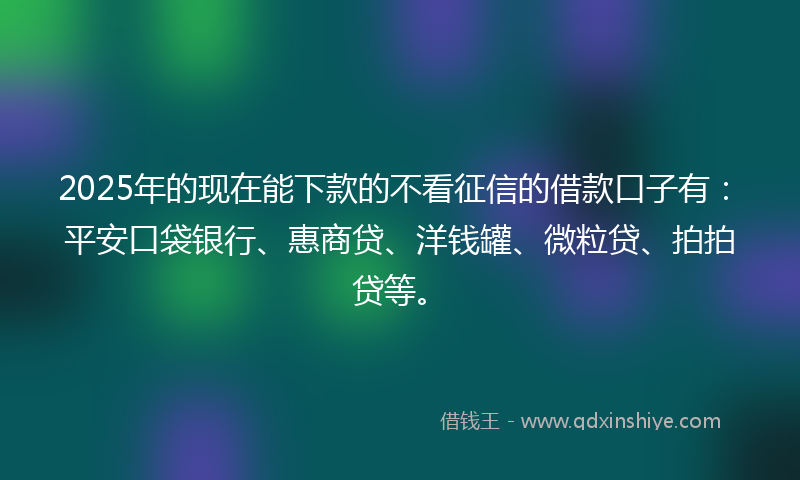2025年的现在能下款的不看征信的借款口子有：平安口袋银行、惠商贷、洋钱罐、微粒贷、拍拍贷等。