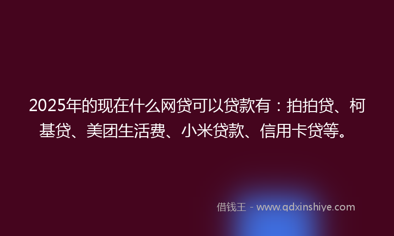 2025年的现在什么网贷可以贷款有：拍拍贷、柯基贷、美团生活费、小米贷款、信用卡贷等。
