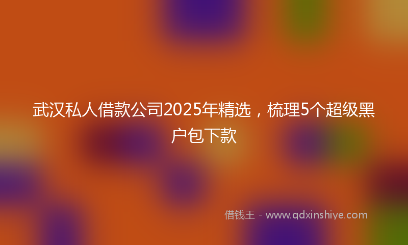武汉私人借款公司2025年精选，梳理5个超级黑户包下款