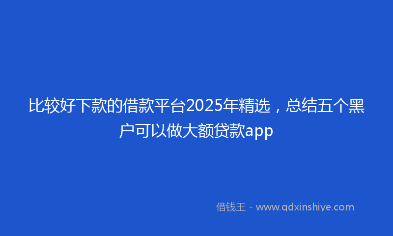 比较好下款的借款平台2025年精选，总结五个黑户可以做大额贷款app