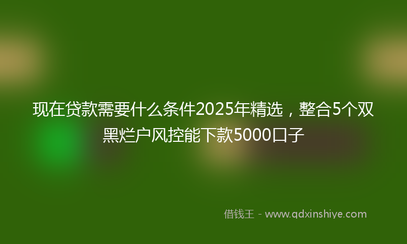现在贷款需要什么条件2025年精选，整合5个双黑烂户风控能下款5000口子