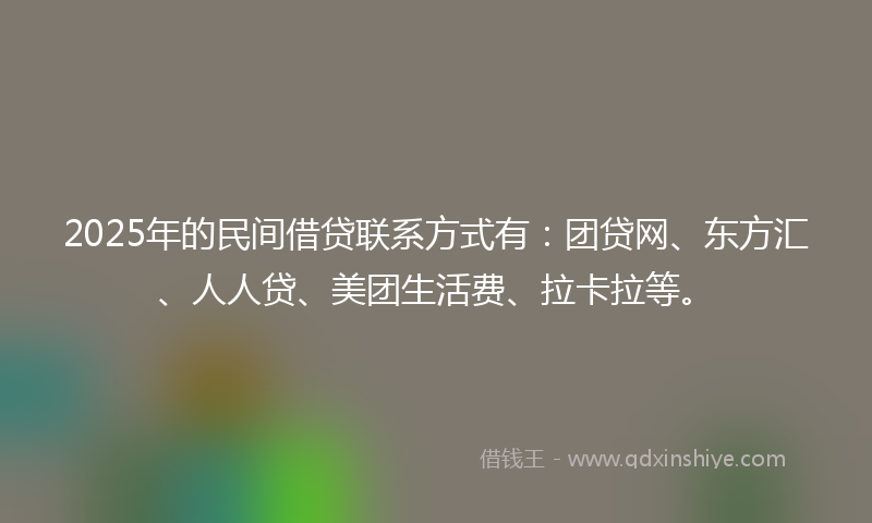 2025年的民间借贷联系方式有：团贷网、东方汇、人人贷、美团生活费、拉卡拉等。