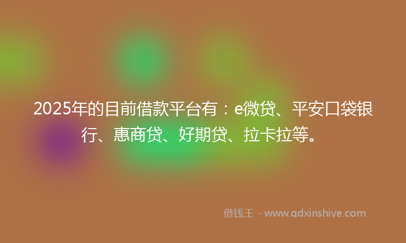 2025年的目前借款平台有：e微贷、平安口袋银行、惠商贷、好期贷、拉卡拉等。