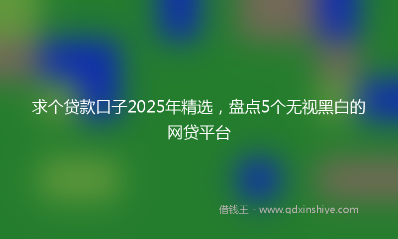 求个贷款口子2025年精选，盘点5个无视黑白的网贷平台