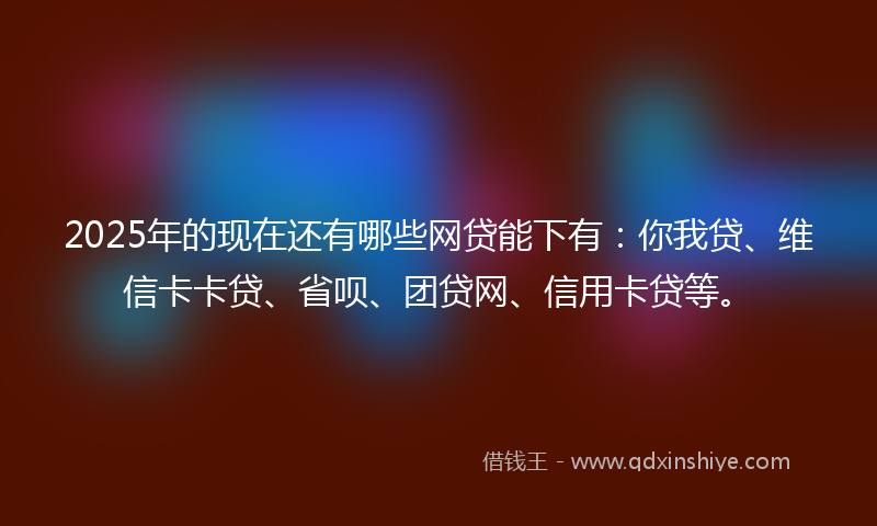 2025年的现在还有哪些网贷能下有：你我贷、维信卡卡贷、省呗、团贷网、信用卡贷等。
