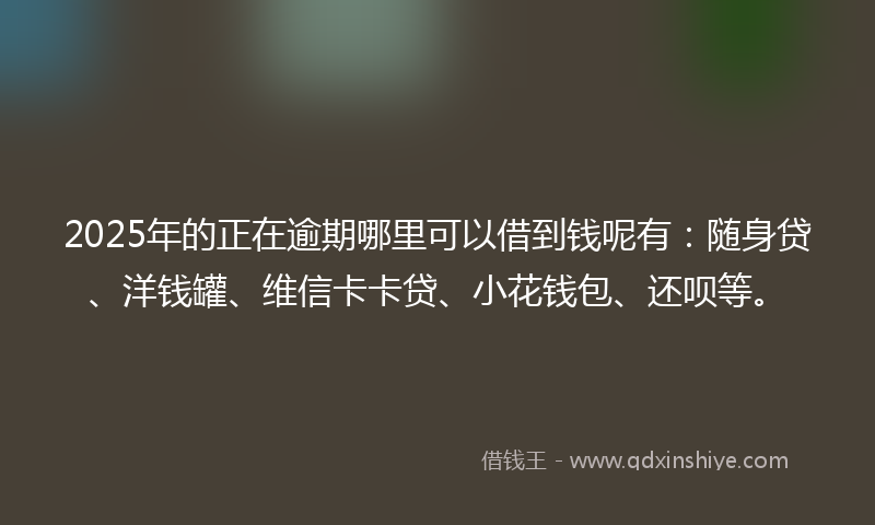 2025年的正在逾期哪里可以借到钱呢有：随身贷、洋钱罐、维信卡卡贷、小花钱包、还呗等。