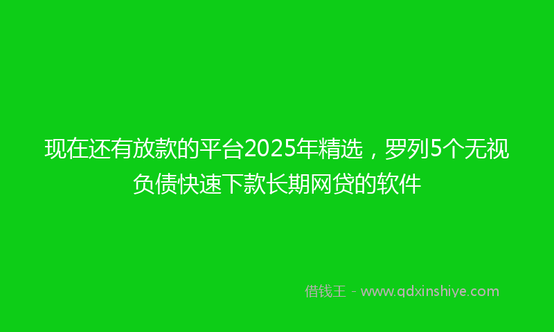 现在还有放款的平台2025年精选，罗列5个无视负债快速下款长期网贷的软件