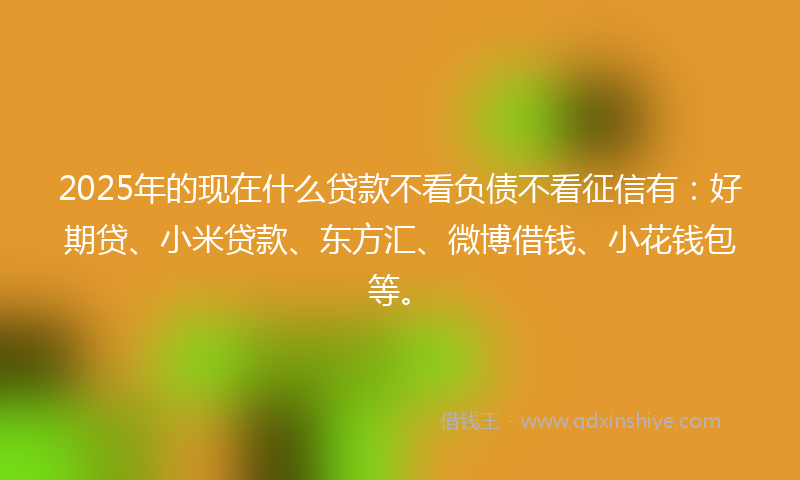 2025年的现在什么贷款不看负债不看征信有：好期贷、小米贷款、东方汇、微博借钱、小花钱包等。