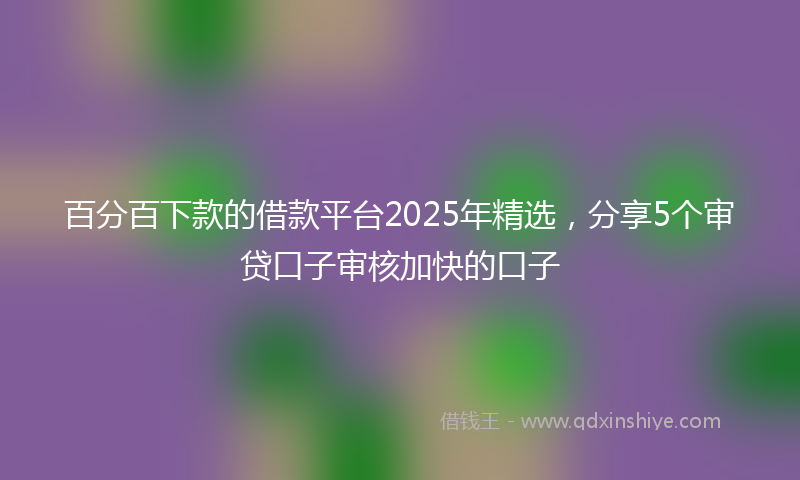 百分百下款的借款平台2025年精选，分享5个审贷口子审核加快的口子