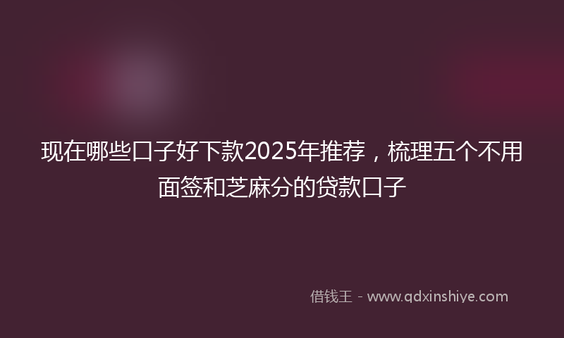 现在哪些口子好下款2025年推荐，梳理五个不用面签和芝麻分的贷款口子