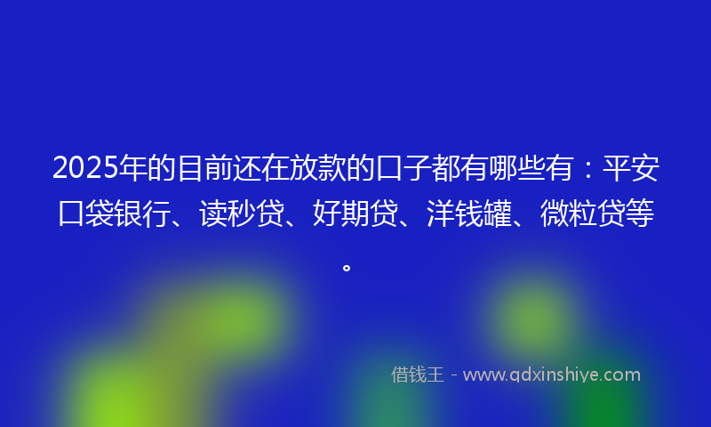 2025年的目前还在放款的口子都有哪些有：平安口袋银行、读秒贷、好期贷、洋钱罐、微粒贷等。