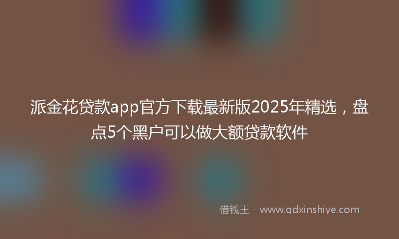 派金花贷款app官方下载最新版2025年精选，盘点5个黑户可以做大额贷款软件