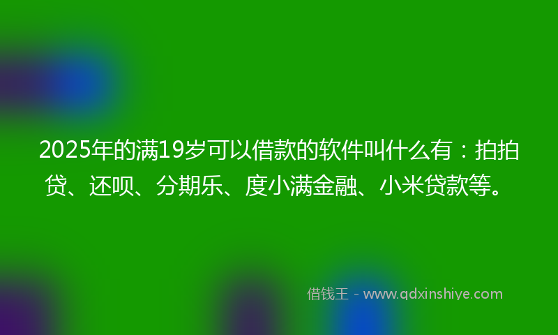 2025年的满19岁可以借款的软件叫什么有：拍拍贷、还呗、分期乐、度小满金融、小米贷款等。