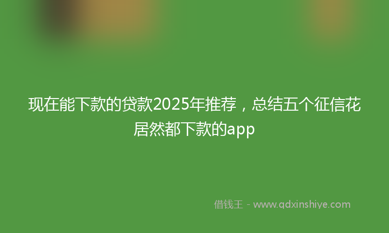 现在能下款的贷款2025年推荐，总结五个征信花居然都下款的app
