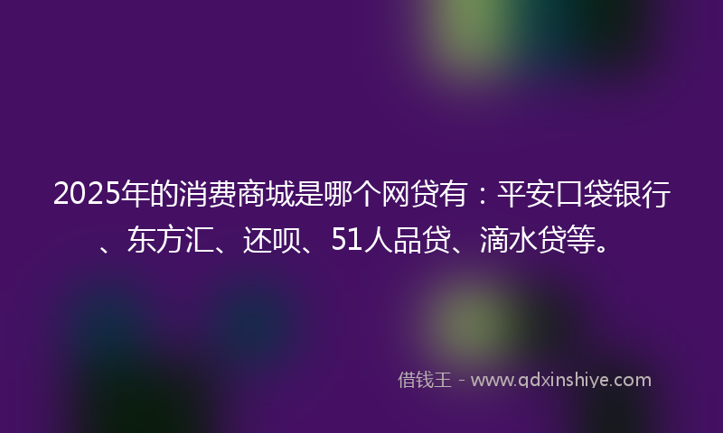 2025年的消费商城是哪个网贷有：平安口袋银行、东方汇、还呗、51人品贷、滴水贷等。
